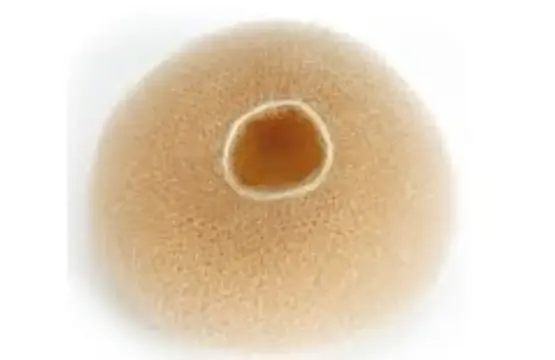 Asuer Relleno Para Moño Redondo Rubio 110x40